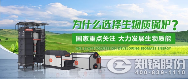 易彩堂官网生物质锅炉.jpg