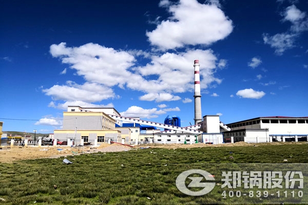 易彩堂官网股份30吨角管式生物质蒸汽锅炉